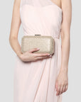 Divya Diamante Box Clutch Bag