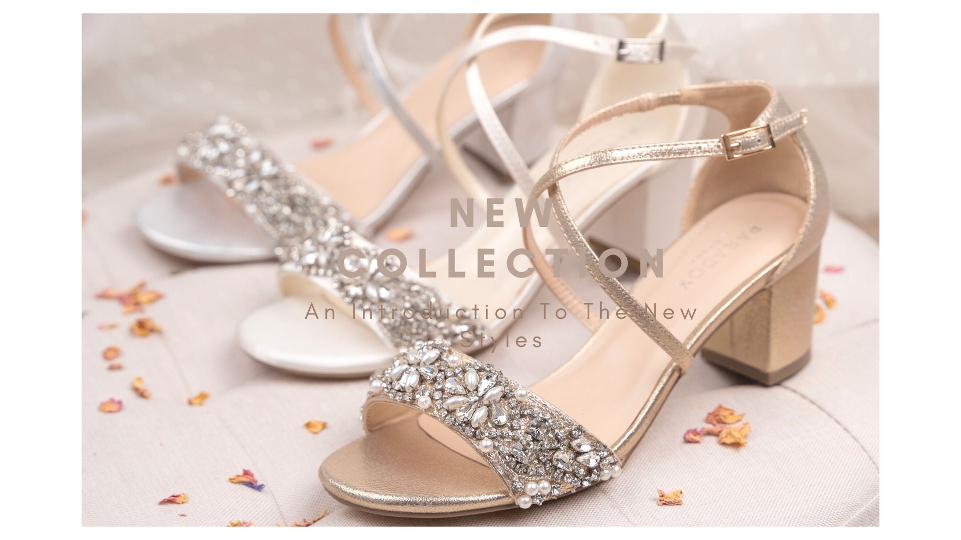 New Collection