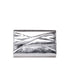paradox silver bag