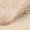 Champagne Metallic