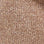 Champagne Shimmer