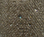 Champagne Glitter Mesh