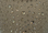 Champagne Glitter Mesh