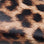 Leopard Faux Leather